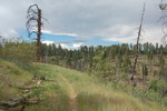 photo thumbnail #4