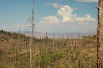 photo thumbnail #6