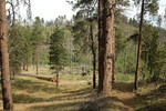 photo thumbnail #11