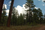 photo thumbnail #7