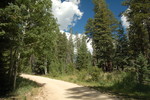 photo thumbnail #6