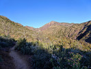 photo thumbnail #2