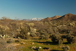 photo thumbnail #6