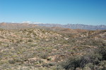 photo thumbnail #10