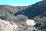 photo thumbnail #11