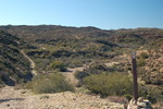 photo thumbnail #13