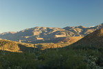 photo thumbnail #2