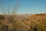 photo thumbnail #4
