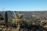 photo thumbnail #6