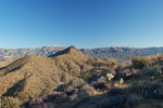 photo thumbnail #7