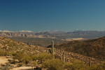 photo thumbnail #12