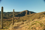 photo thumbnail #2