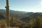 photo thumbnail #3