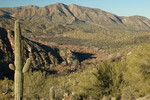 photo thumbnail #4