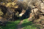 photo thumbnail #7