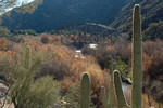 photo thumbnail #9