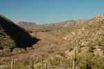photo thumbnail #12