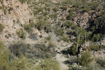 photo thumbnail #13