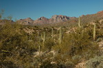 photo thumbnail #14