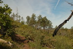 photo thumbnail #9
