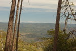 photo thumbnail #11