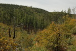 photo thumbnail #12