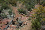 photo thumbnail #13
