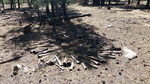 photo thumbnail #6