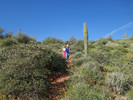 photo thumbnail #4