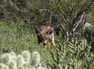 photo thumbnail #9