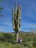photo thumbnail #13