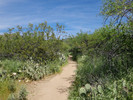 photo thumbnail #14