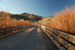 photo thumbnail #2