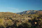 photo thumbnail #4