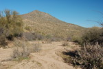 photo thumbnail #5