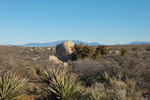 photo thumbnail #5
