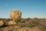 photo thumbnail #7