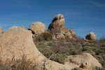 photo thumbnail #13