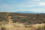 photo thumbnail #15