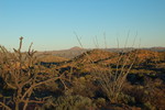 photo thumbnail #2