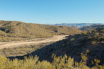 photo thumbnail #9