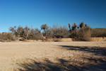 photo thumbnail #10