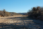 photo thumbnail #12