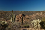 photo thumbnail #13