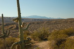 photo thumbnail #14