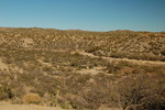 photo thumbnail #15