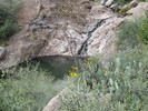 photo thumbnail #8