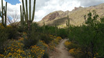 photo thumbnail #5
