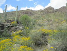 photo thumbnail #5