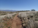 photo thumbnail #3